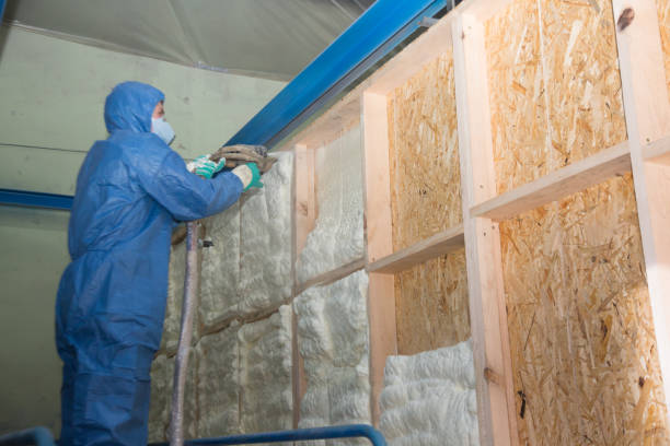 Insulation Repair Services in Saybrook On The Lake, OH